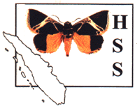 HSS Logo  1999