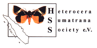 Heterocera Sumatrana Society e.V. ( 1999 HSS e.V.)